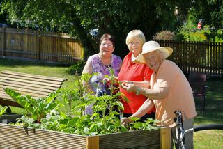 Gelegenheiten zum Gärtnern Gelegenheiten zum Gärtnern